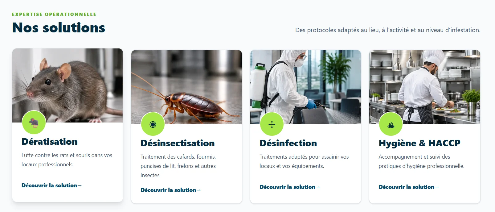 Intérieur du site